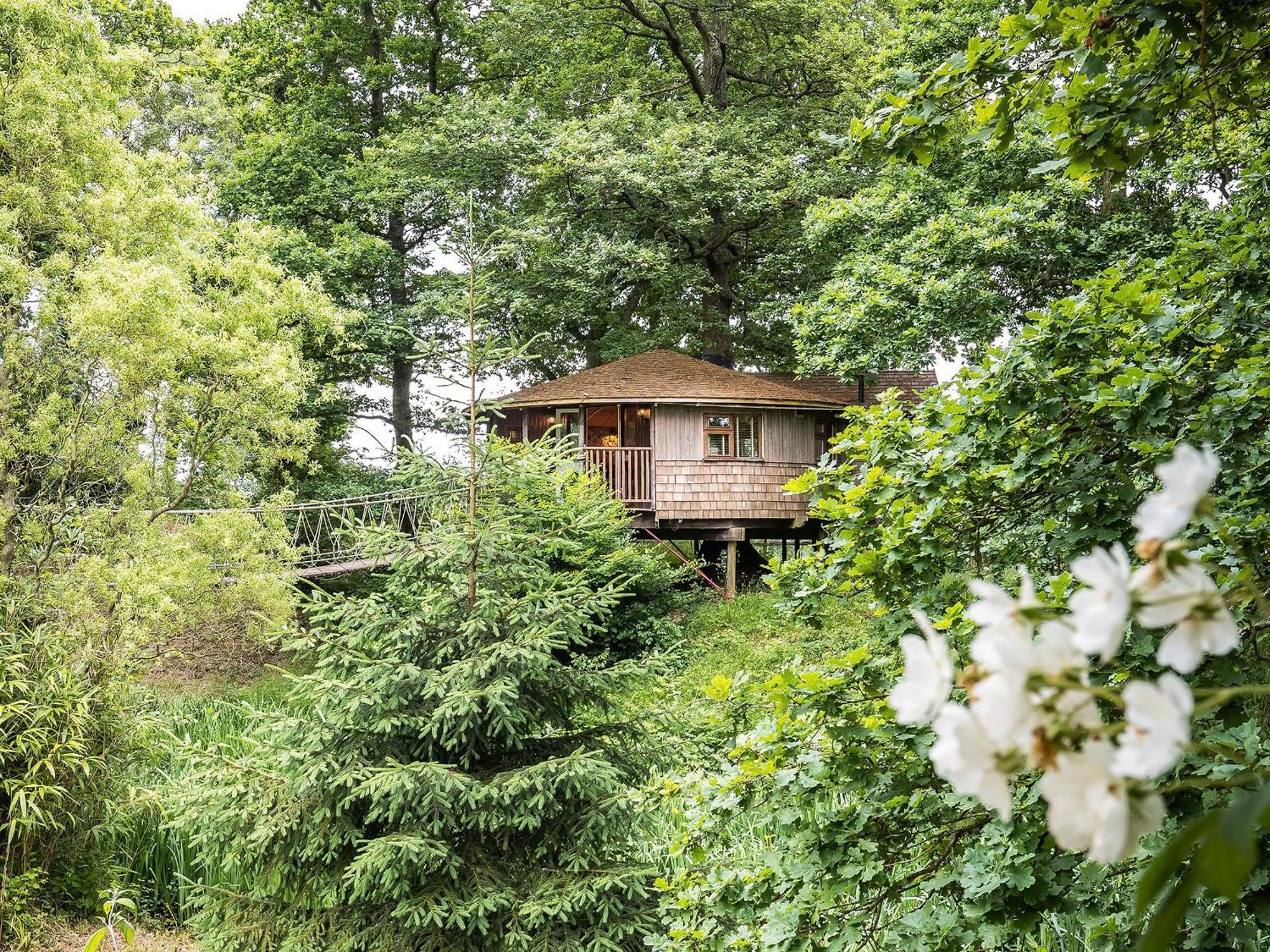 Wadhurst Bensfield Treehouseヴィラ エクステリア 写真